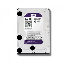 DD 2000 GB 2 TB SATA PC WESTERN DIGITAL PURPURA