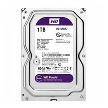 DD 1000 GB 1 TB SATA PC WESTERN DIGITAL PURPURA