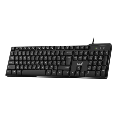 TECLADO GENIUS KB-100X