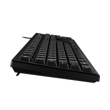 TECLADO GENIUS KB-100