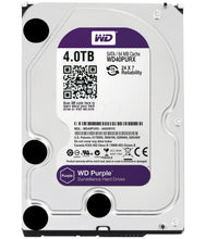 DD 4000 GB 4 TB SATA PC WESTERN DIGITAL PURPURA
